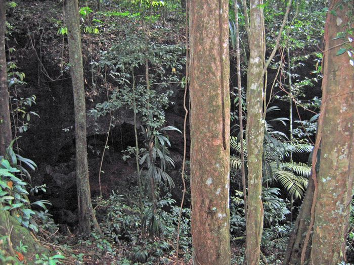entr de grotte en Guyane Franaise